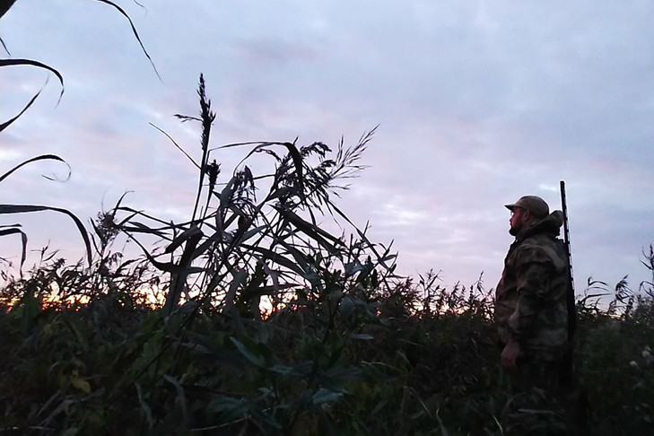 Новые сроки для охоты на копытных и медведя ввели в Новосибирской области