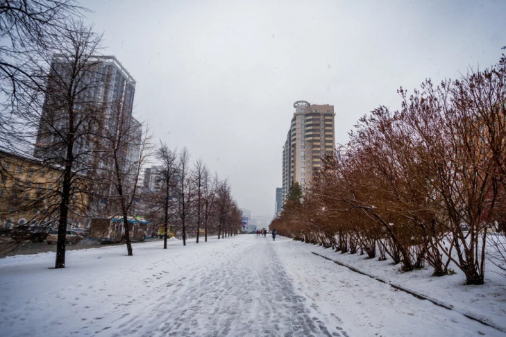 Мороз до -20: прогноз синоптиков на середину ноября в Новосибирске