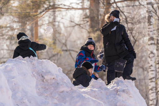 Не ходить в школу в крещенские морозы разрешили ученикам в Новосибирске