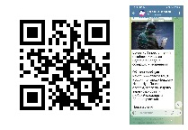 «Бердские новости» развивают свой телеграм-канал