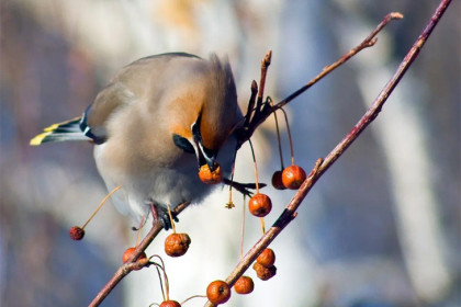 Прогноз погоды на 4-5 апреля в Новосибирске сделали синоптики