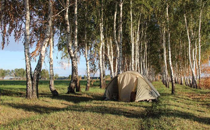 Подростки открыли стрельбу в палаточном лагере под Новосибирском