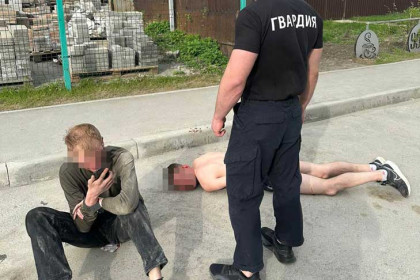 Трудовые мигранты-спортсмены избили автомобилиста в Новосибирске