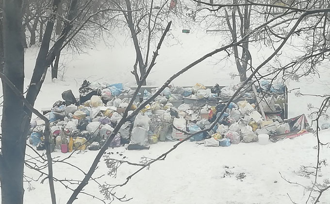 Мусор не вывозят с начала года из сел Искитимского района