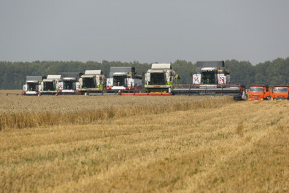 Как идут заготовка сена и уборка зерна в Новосибирской области