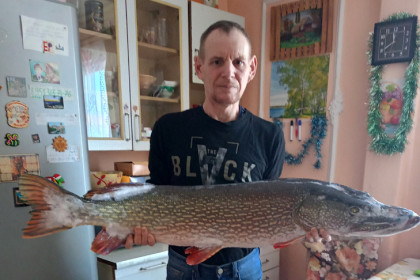 Щуку-толстушку выловил в крещенский мороз рыбак под Новосибирском