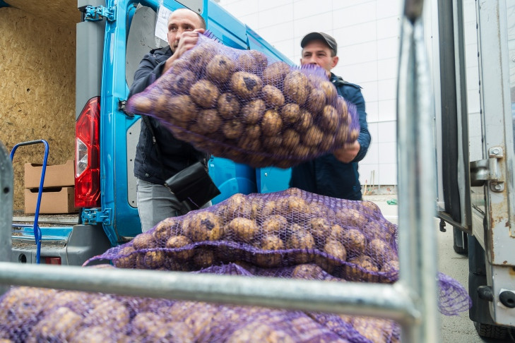 Первые 12 тысяч тонн картошки собрали с полей Новосибирской области