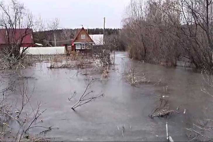 Более 200 дачных участков затопила река Иня под Новосибирском