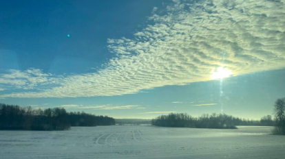 Госавтоинспекция напомнила новосибирцам о соблюдении скоростного режима