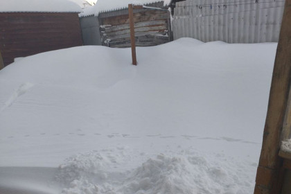 Аномальные снегопады засыпали Чулым в Новосибирской области