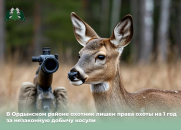 200 тысяч рублей заплатит житель Новосибирской области за незаконную добычу косули