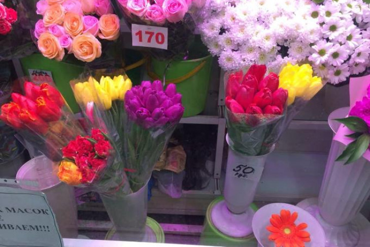 Тюльпаны сами себе начали дарить жительницы Новосибирска