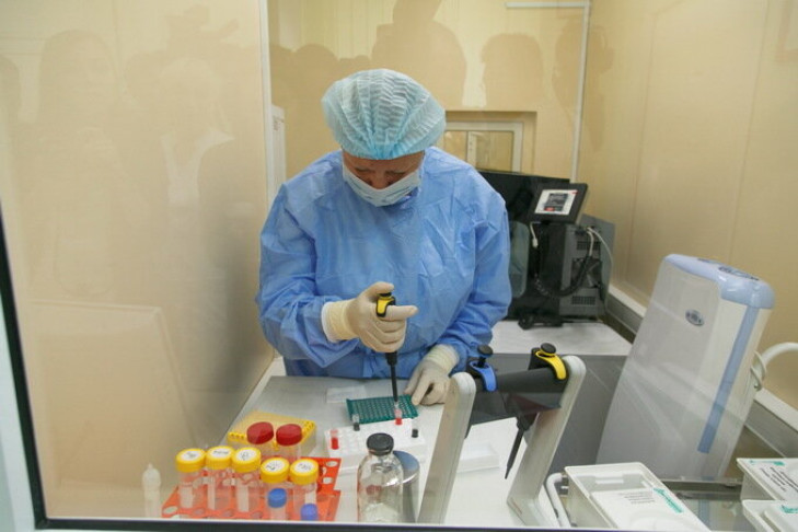 Антитела, нейтрализующие коронавирус, получили ученые из Новосибирска