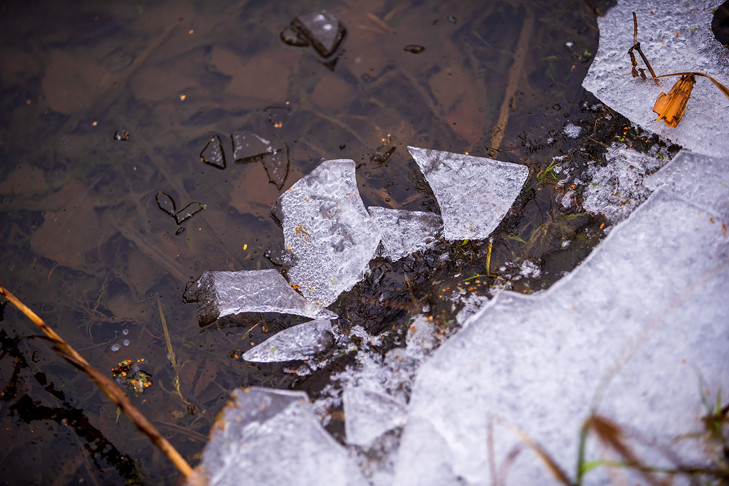 Пятеро человек утонули и двое пропали в Новосибирской области осенью-2025