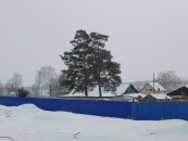 Как за одно посещение МФЦ обезопасить свою недвижимость, рассказали в Росреестре