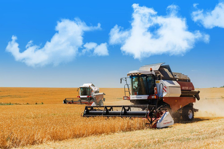 Вопреки всему, мы, крестьяне, не унываем…