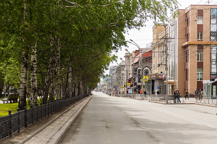 Мэр Кудрявцев заявил о старте программы «10 тысяч деревьев» в Новосибирске