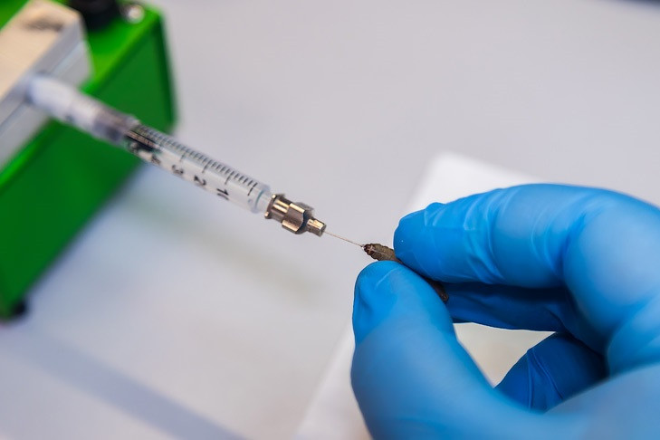 О необходимости вакцинации от менингита заявил эксперт Иван Коновалов