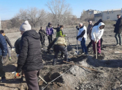 Полсотни серебристых тополей высажено в Искитиме