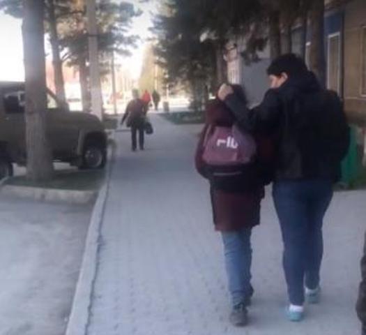 Мать тащила дочь за волосы в Искитиме - новосибирский следком организовал проверку 