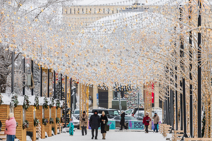 Двенадцать дней новогодних каникул-2026 пообещали жителям Новосибирска