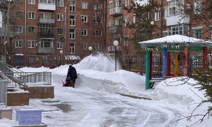 Родителям из Новосибирска предлагают чистить снег в детсадах вместо дворников