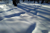 В первую декаду января в Новосибирске будут снегопады и умеренные морозы