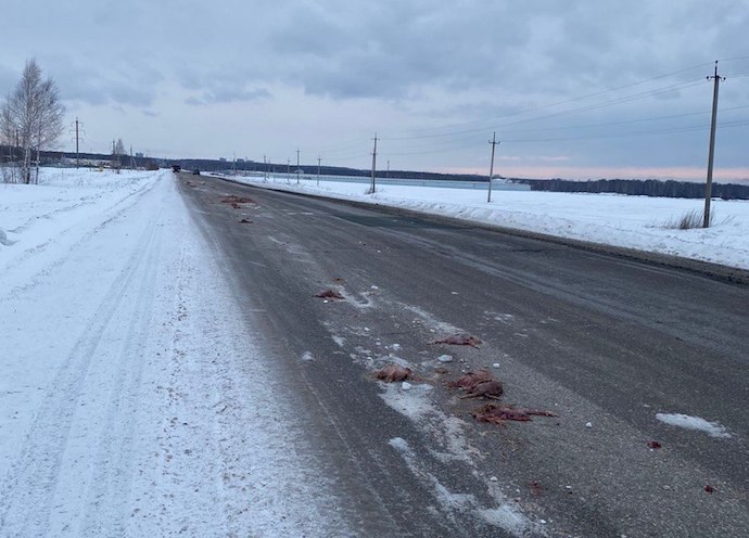 Грузовик полный куриных шкур вывалили прямо на обочину дороги под Новосибирском
