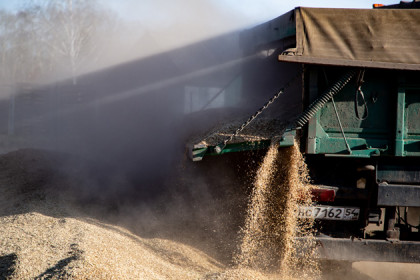 Двукратный рост экспорта – продажи зерна урожая 2018