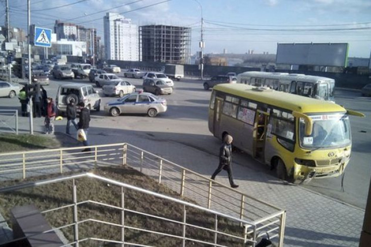Семь автобусов запустили маршруты алтайского и кузбасского направлений