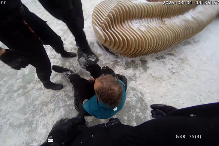 Ногой в лицо получил пьяный дебошир от жительницы Новосибирска