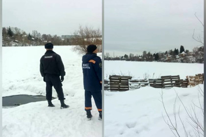 Школьники по телефону разыграли спасателей в Новосибирске