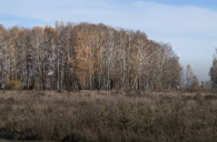 Заросшие сорняками земли начали забирать у собственников в регионах России