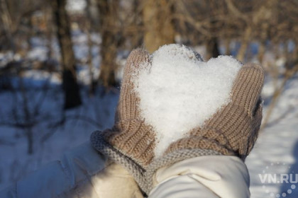 Теплый снежный февраль обещают синоптики в Новосибирске