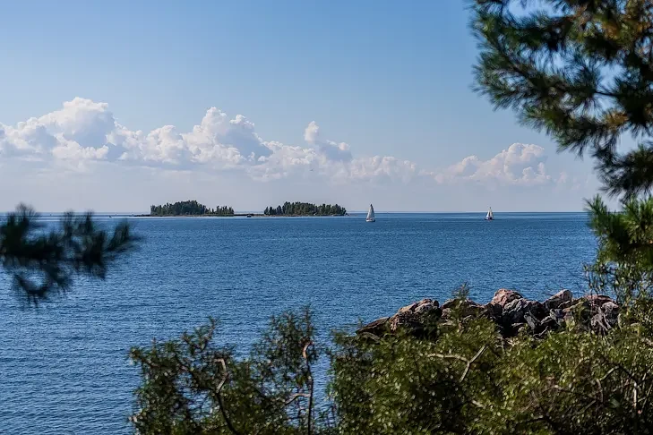 Дату окончания бабьего лета в Новосибирске назвала синоптик Кичанова