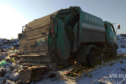 360 килограммов груш раздавили бульдозером под Новосибирском