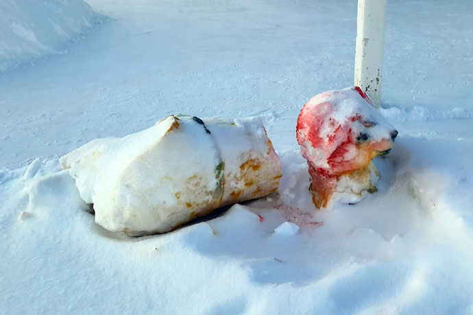 Снежного Кота со шпагой разбили на обломки вандалы в Чулыме