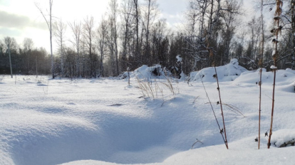 30-градусные морозы ударили в Новосибирской области 8 декабря
