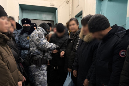 В Новосибирской области за пять дней возбудили 54 миграционных уголовных дела