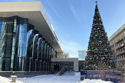 Новосибирск украсила новогодняя праздничная ёлка от ВТБ