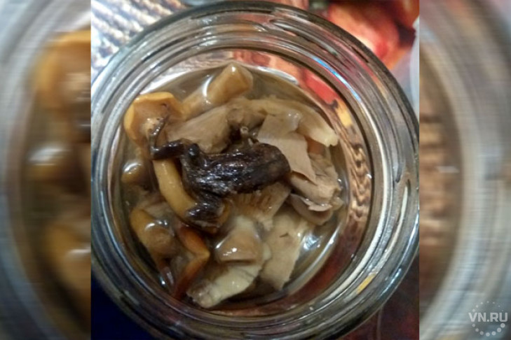 Маринованная лягушка в банке с грибами возмутила новосибирца