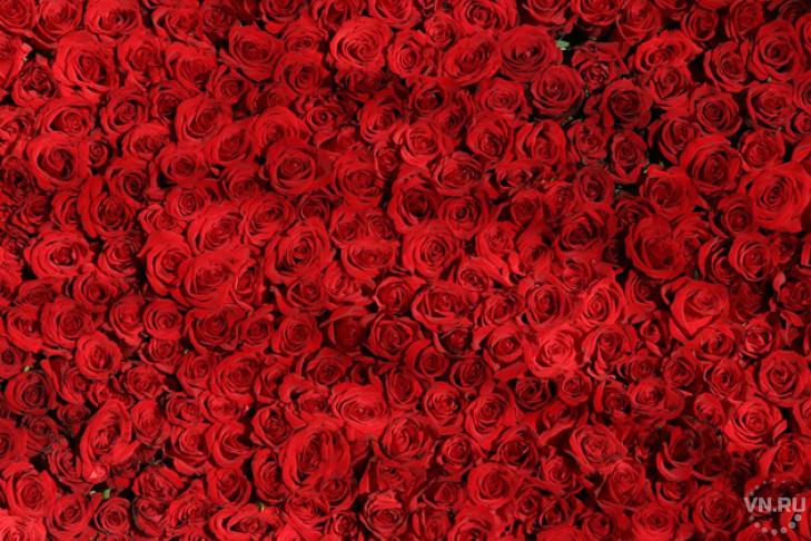 За миллион алых роз нужно продать 63 квартиры в Новосибирске