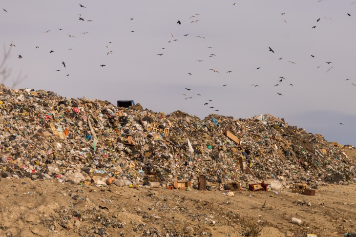 Более 80% мусора переработают на новом сортировочном комплексе в Новосибирске