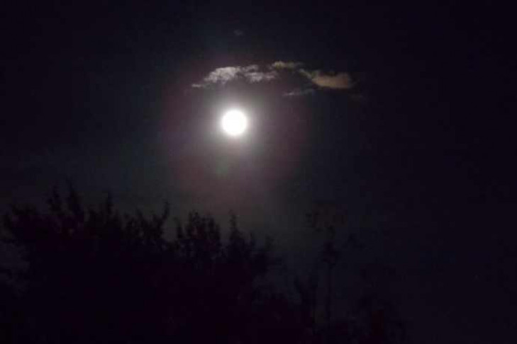 Уникальное лунное затмение 19 ноября совпадет с полнолунием 
