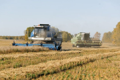 На 100 миллиардов  рублей сельхозпродукции произведут аграрии области