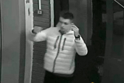 Поломал и утащил: похититель елки в Новосибирске попался с поличным