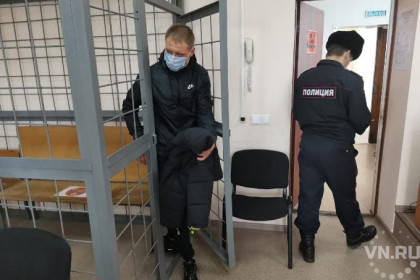 Бастрыкин поручил добиться ареста новосибирских авиадебоширов