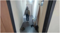 Жительница Новосибирской области напала на троих полицейских