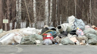 Жители Новосибирской области устроили свалку в Кудряшовском бору
