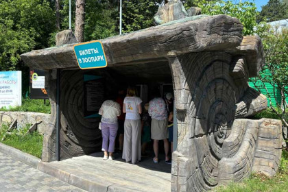 Билеты для интровертов начали продавать в Новосибирском зоопарке